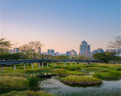 发布 T40 和 T20P 农业无人飞机，大疆的技术有何特征？