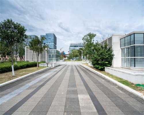 今天｜他们给高新区写了一封情书，一起来看看……