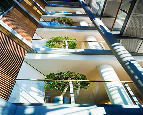 久保田｜收获稻谷 绽放希望