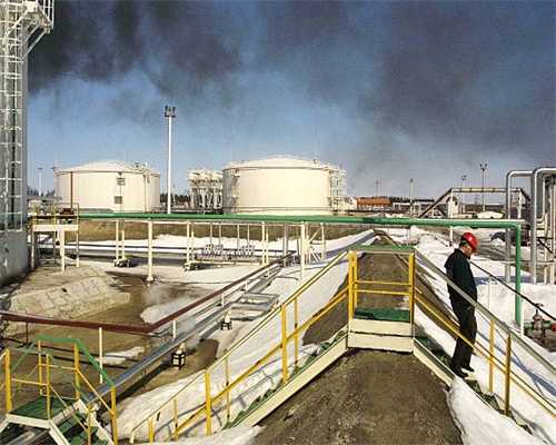 吓人！“小青”结伴去小学冬眠，消防员秒变“法海”擒拿之……