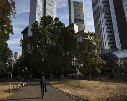 自贡荣县召开2023年水稻机收暨农机化工作会