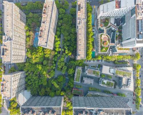 视频丨双牌早稻开镰收割 迎来丰收季