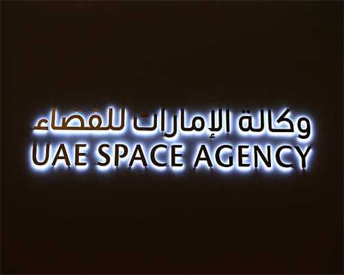 陆良县10万亩小春马铃薯破土成“金”