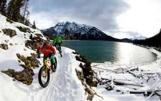 湖南益阳：推广秸秆综合利用“变废为宝”促增收