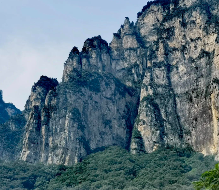 代县小伙戴杰放弃乐师当农民 种水稻年赚50多万元