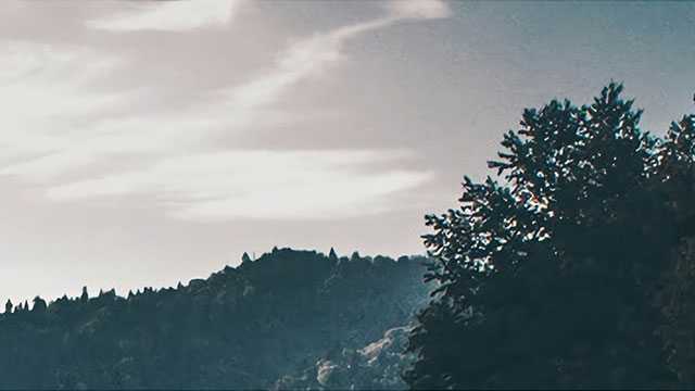 积极推进中耕管理 力保粮食丰产丰收