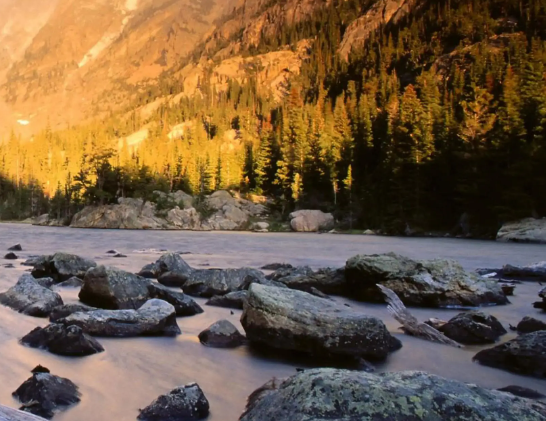 潍坊安丘“三个第一”引领农业国际化新标杆